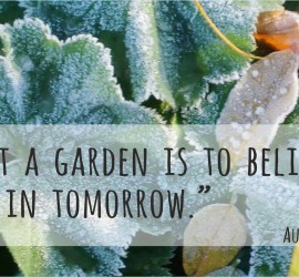 einen Garten zu pflanzen heißt an morgen zu glauben