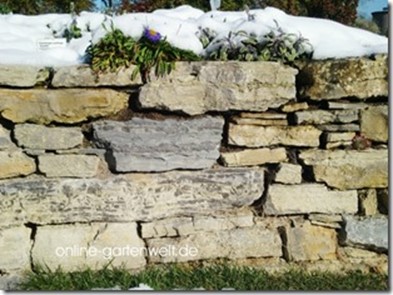 Gartenmauer