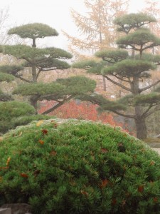 japanischer Garten im Herbst