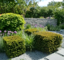 Planungsidee für Hausgärten mit Taxushecke