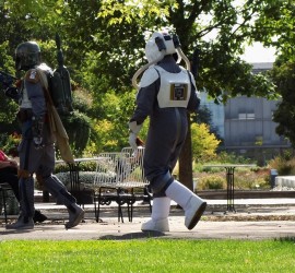 Garden meets Fantasy