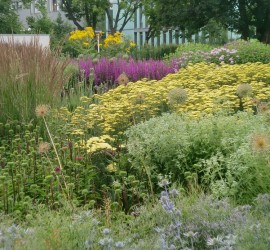Farben in der Gartengestaltung