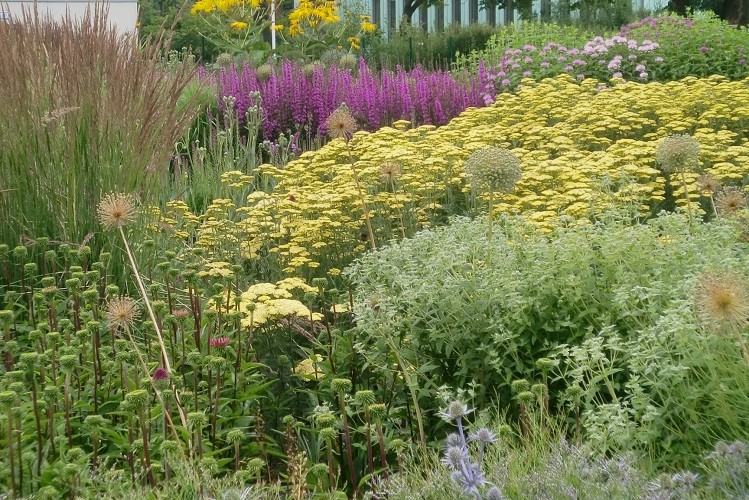 Farben in der Gartengestaltung